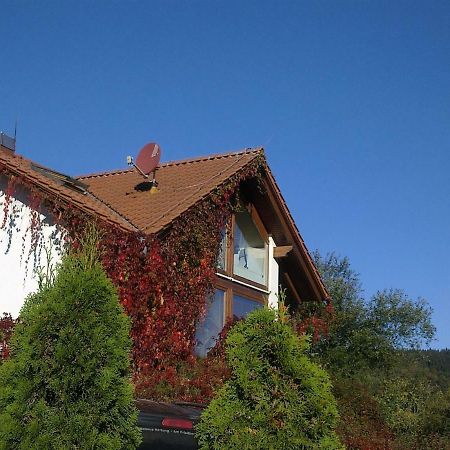 Ferienhaus Am Loeffelberghuettchen Giessubel Exterior foto